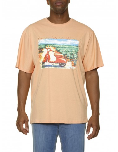 Maxfort T-Shirt 25605 - PROFILOMODA.COM